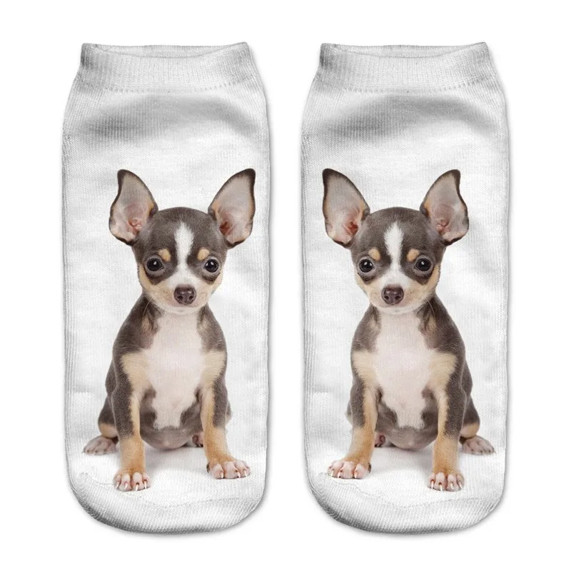 fa31afc1882b4852d87c0719628ae5dc29ad5a56e542756d4e97d24a7f