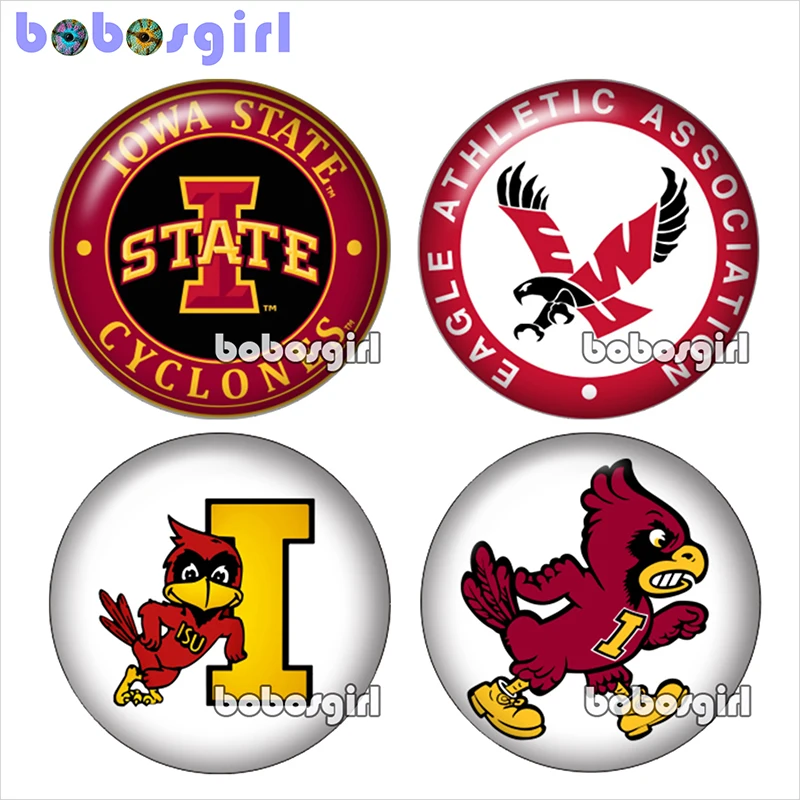

association 12pcs mixed snap button Round photo glass cabochon demo flat back Making findings DA154