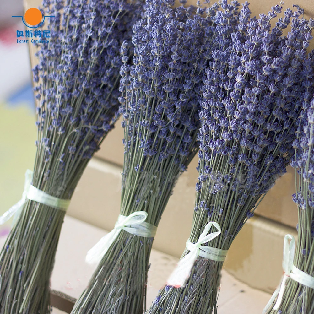 Ramos de lavanda seca, racimos de flores secas naturales, 100g|lavender  flower bouquet|natural flower bouquetsflower bouquet - AliExpress