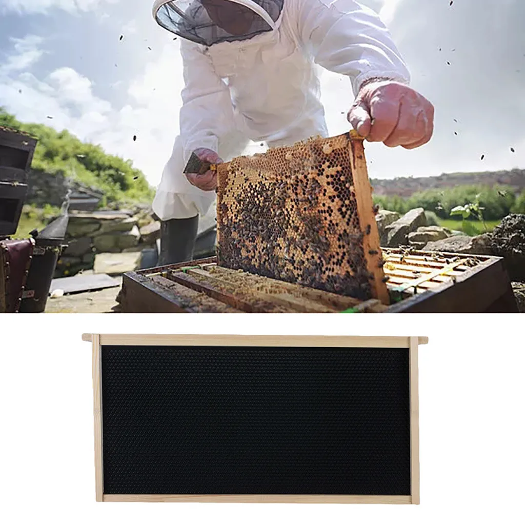 

Beehive 1 Frame Kit 1 Foundation 1 Deep Frames For Langstroth Beekeeping Pine high Bar Bee Hive Frame Avoid Agitation Plastic