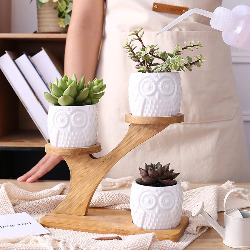 1 Set Ceramic Owl Garden Pots Modern Decorative Nursery Succulent Plant Pot 3 Bonsai Planters with 3-Tier Bamboo Shelf Hot Sale