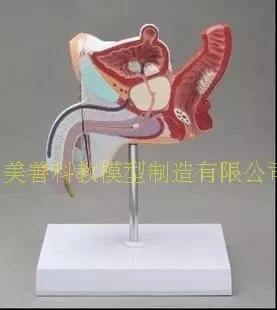TB227fsXj2lJKJjSszcXXaopVXa_!!3341848738.jpg_400x400.jpg_.webp