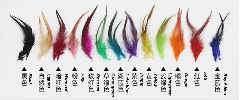 Feather color