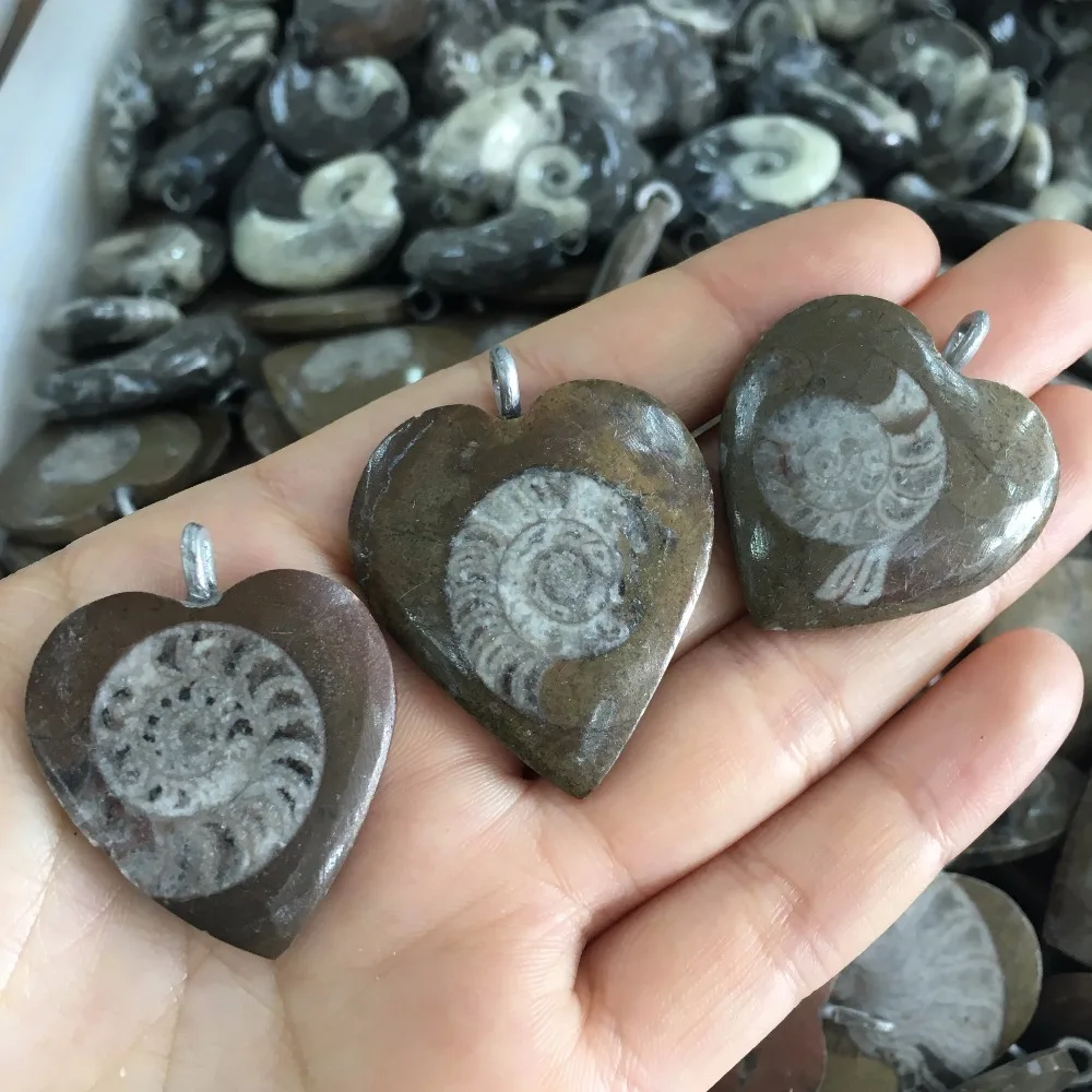 

1pcs drop shipping natural ammonite fossil heart pendant reiki healing crystals minerals stone rare gemstone pandent as gift