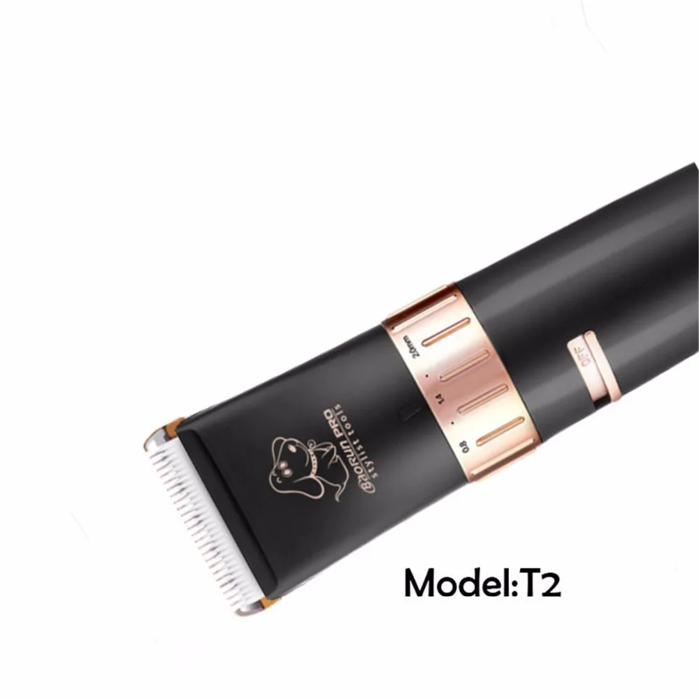 T2