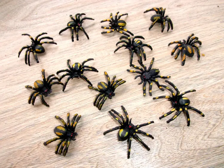 plastic spider toy