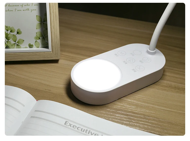 Desk lamp (14)