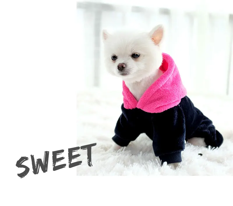 girl dog clothes
