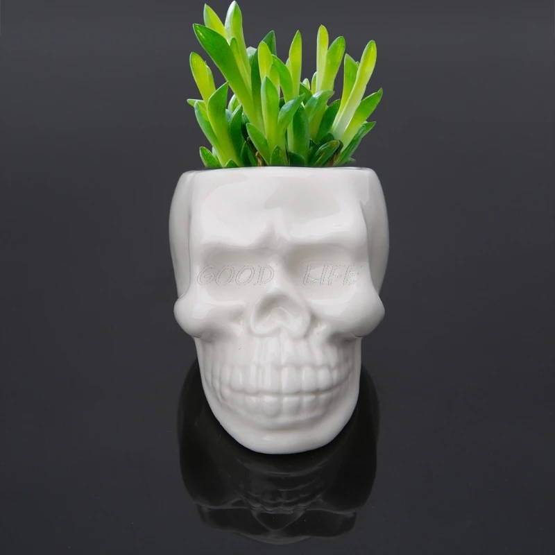 Творческий Череп керамический цветочный горшок зеленый суккулент плантатор растительный контейнер Декор
