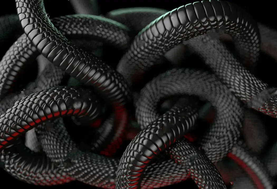 Black Snake Wallpapers - Wallpaper Cave