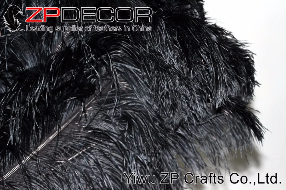 black ostrich feathers (1)