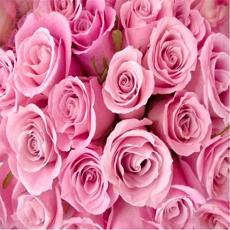photo-wall-paper-photography-Stereoscopic-Pink-roses-romantic-TV-backdrop-flower-living-room-bedroom-wall-mural (1)