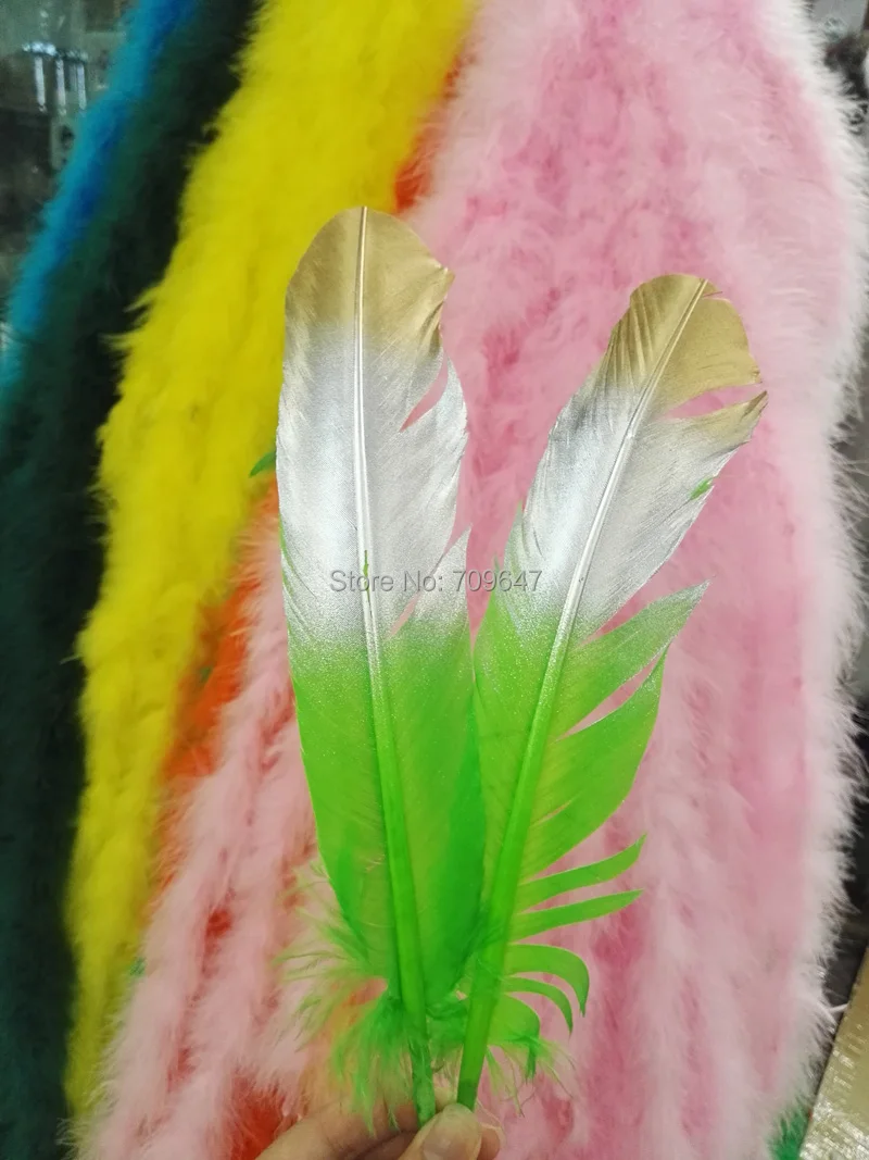 FMT0033 (4)