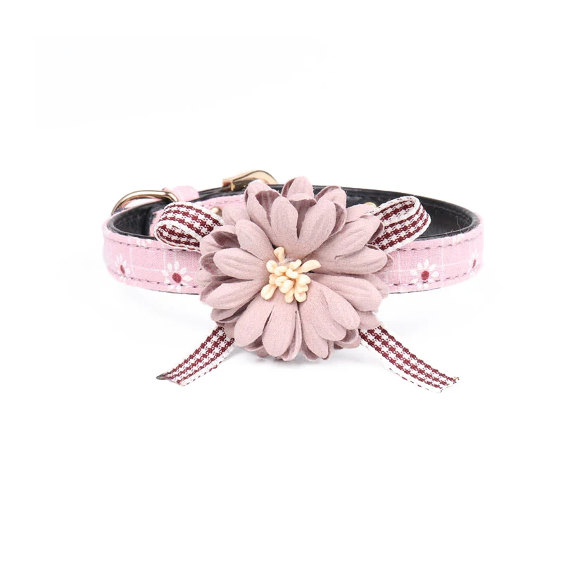 6 pet collar 