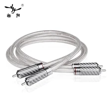 YYAUDIO Silver plated YYTCG Signature Hifi RCA Audio Cable 6N OFC 2RCA Interconnect Cable with Carbon