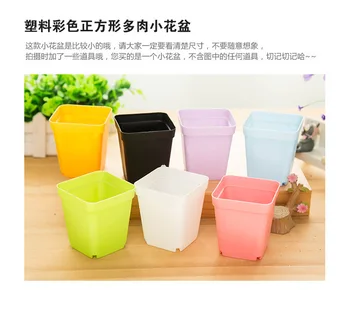 

Colorful Mini Flower Pots Plastic Planting Pot Gardening Plastic Pots Plant Flowerpot For Home Office Decoration Garden Supplies