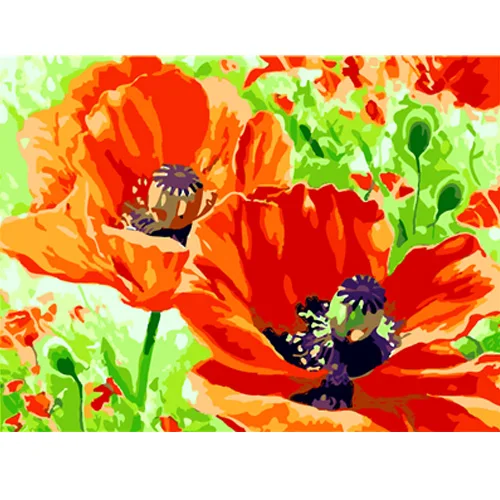 Краски по номерам Красочные цветы цифровое искусство Масляные картины наборы изображений для детей окраска на холсте - Цвет: E589