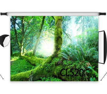 

Seamless Washable No Crease Polyester Old Tree Fantasy Forest Bright Sunshine Background Backdrop Photography Studio Props