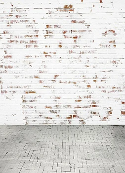 

VinylBDS 200Cm*150Cm Backgrounds Whitewashed Brick Walls Of The Old Photography Backdrops Photo Lk 1419