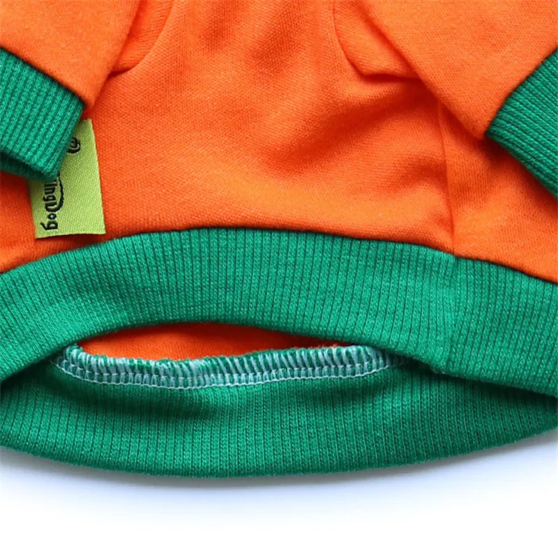 dog vest