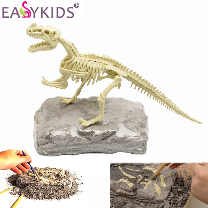 Dinosaur Excavation Kit Archaeology Digging up Fossils Skeleton Kids