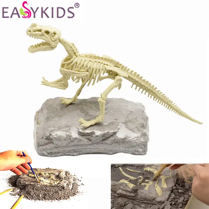 toy dinosaur bones kit