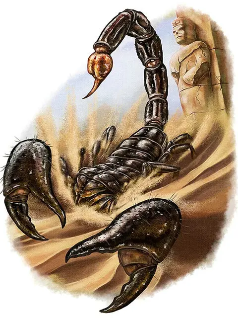 Full-Square-Diamond-Painting-Scorpion-egypt-5d-Diy-Diamond-Embroidery-Sale-Mosaic-Picture-Of-Rhinestones.jpg_640x640