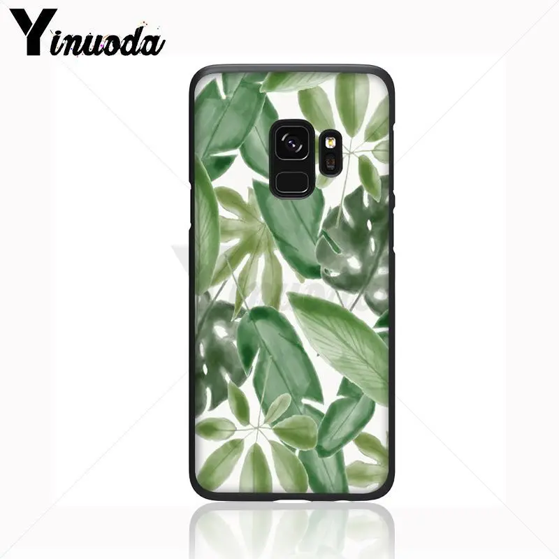 green plant leaves