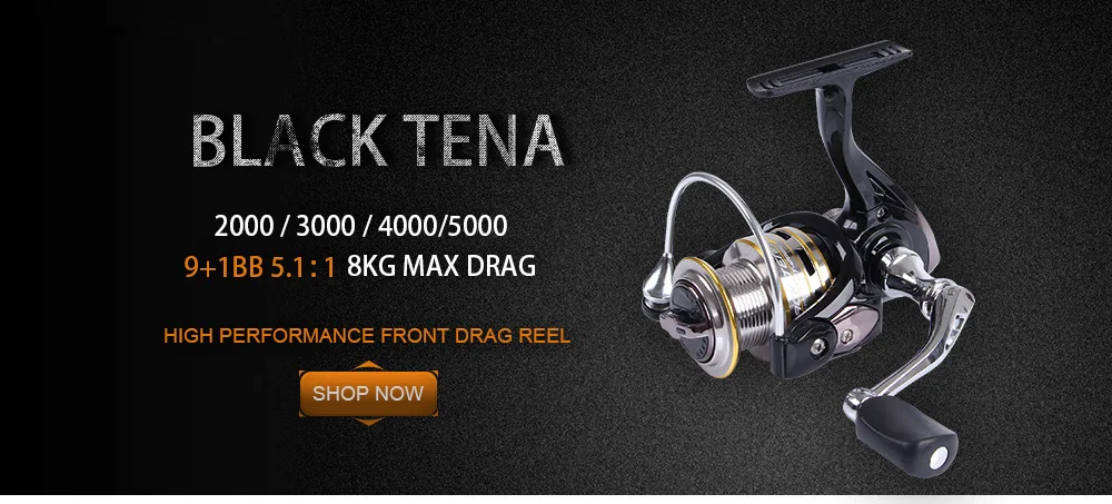 W.P.E BLACK TENA Series 5.1:1 Spinning Fishing Wheel 2000 3000 4000 5000 with 9+1 Ball Bearings 8KG Max Drag Power Fishing Reel