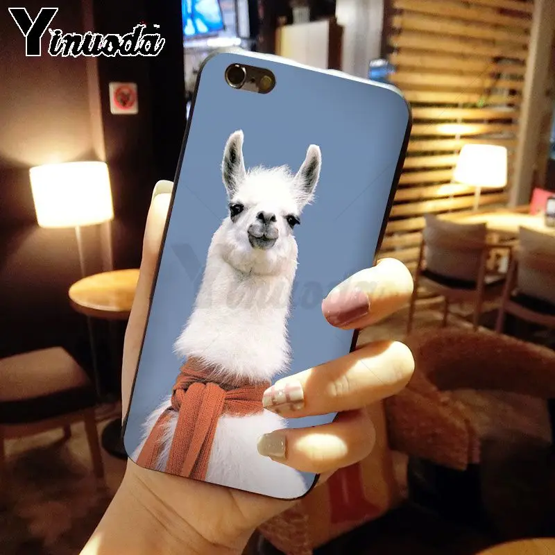 cow alpaca zebra giraffe