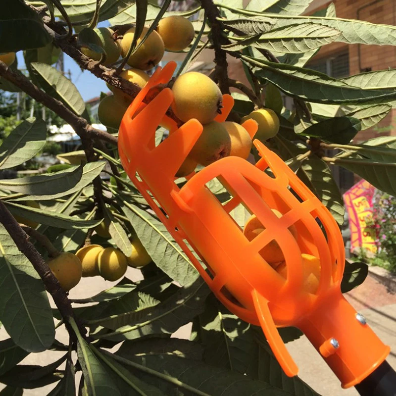 Does Not Harm Fruit Picker High Altitude Fruit Picker Garden Picking Tool Fruit Tree Plastic Fruit Picker Gardening Farm