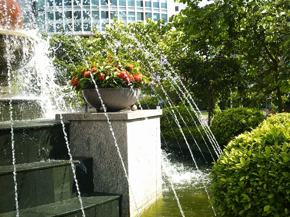 DSCF0014