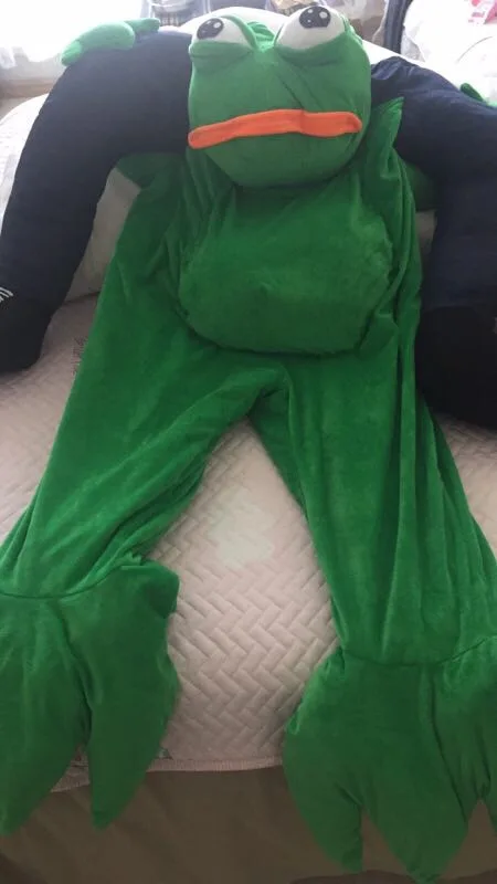 Ride-on-frog-costumes-PP-cotton-plush-frog-mascot-costumes-adult-size-160-180CM (3)