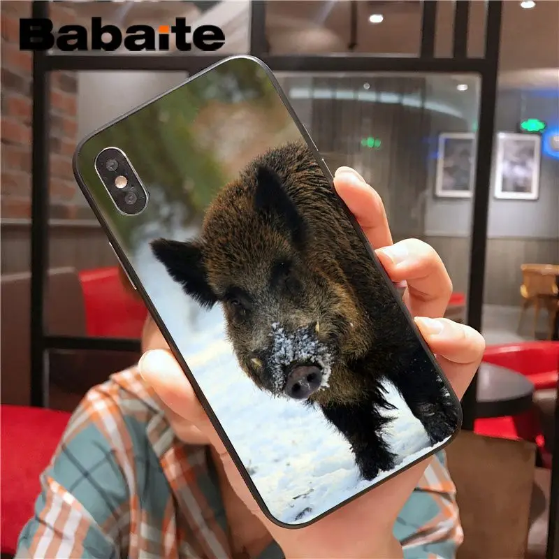 Wild Boar pig animal