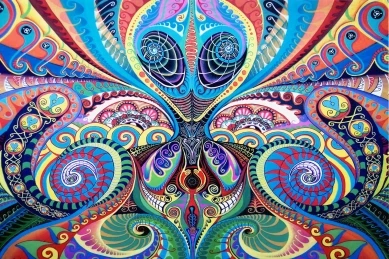 66
