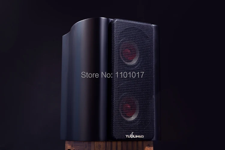 TUOLIHAO Q5 Dual full range 4 ''драйвер spearker HIFI EXQUIS лучший вокальный монитор книжная полка