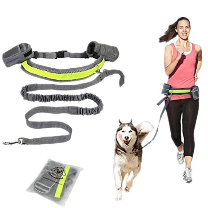 

Hot Hand Free Elastic Puppy Dog Leash Adjustable Padded Waist Reflective Running Jogging Walking Pet Lead Belt With Pouch Bags