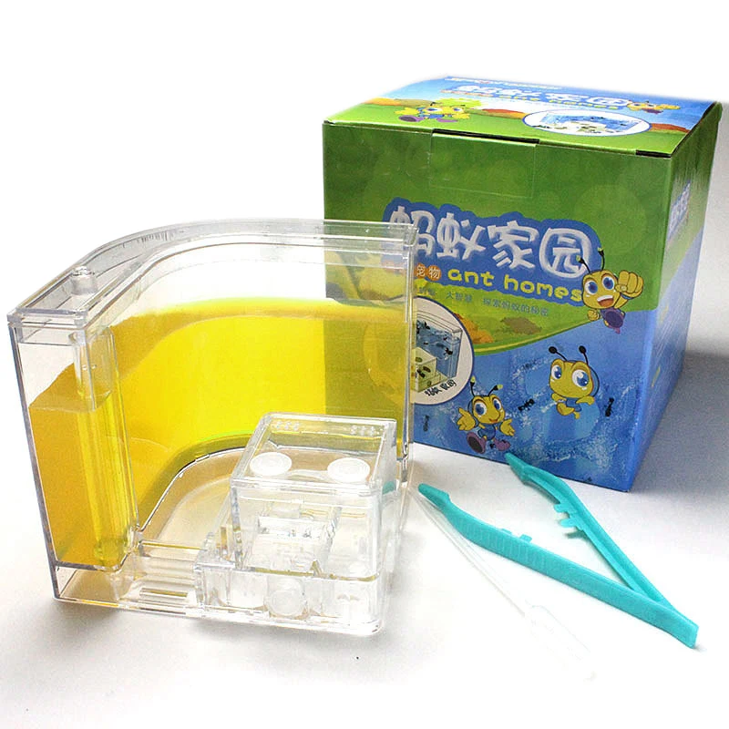 Acrylic Ants Farm Ants House Castle Colorful Insects Terrarium Ant Cage Insects Box Nursery Ecological Kid Educational Model Toy3