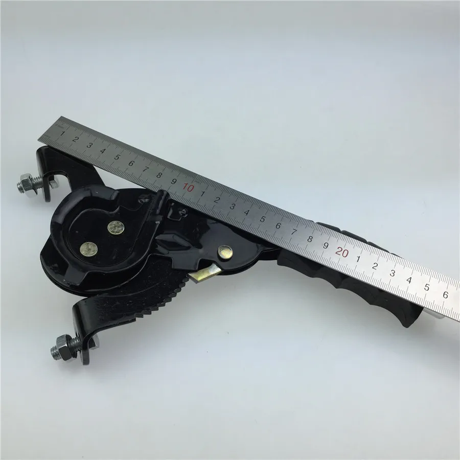 3007