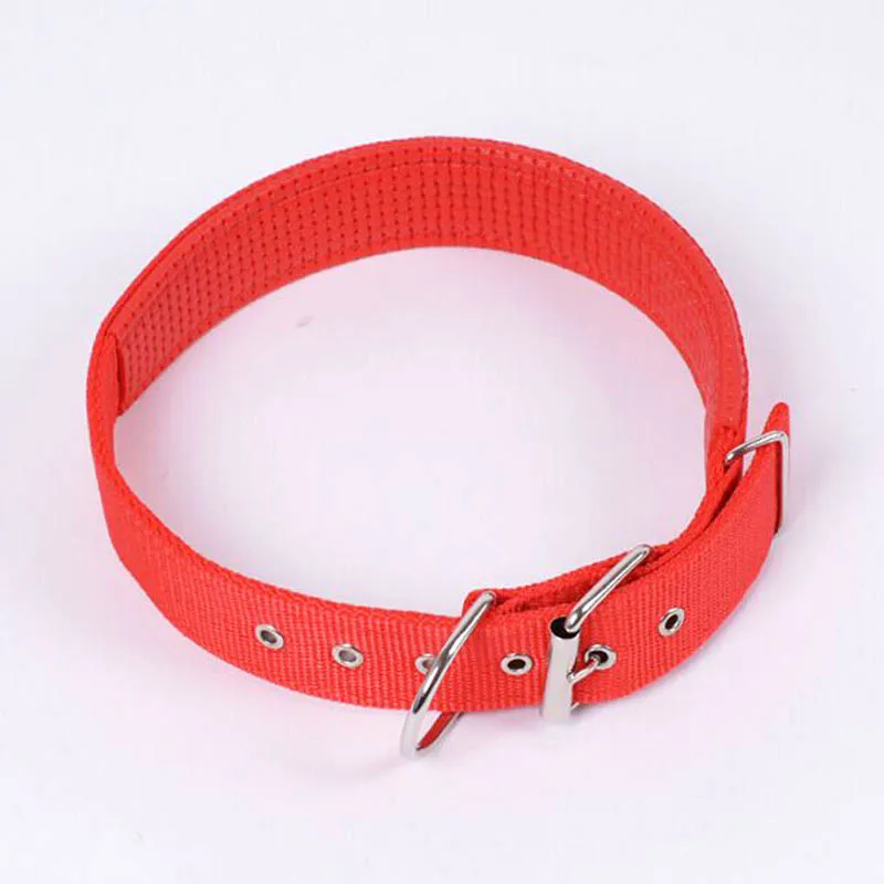 

Nylon Soft Liner Padded Dog Pet Collars Neck Protection Safe CollarFor Small Medium Large Dogs