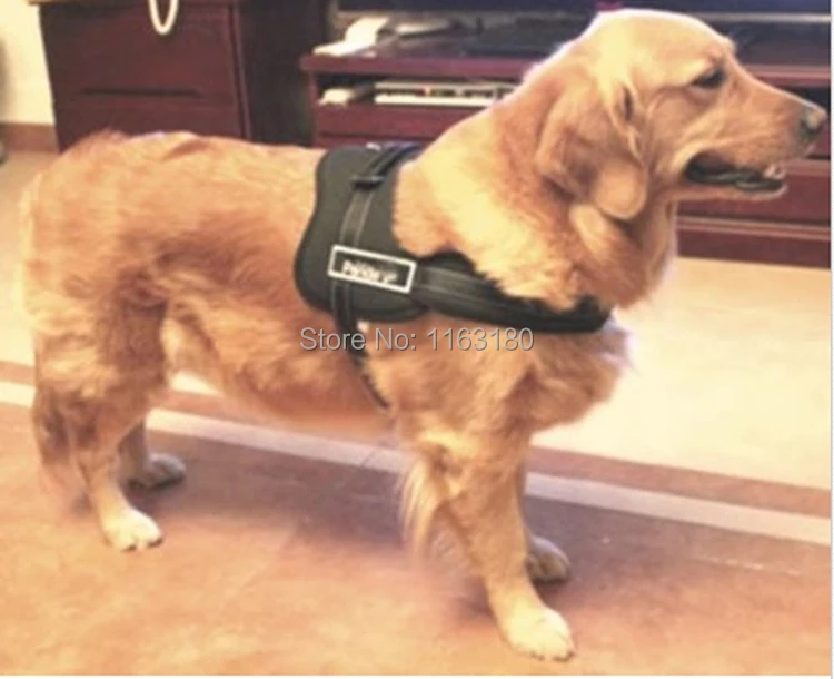 comfy control dog harness