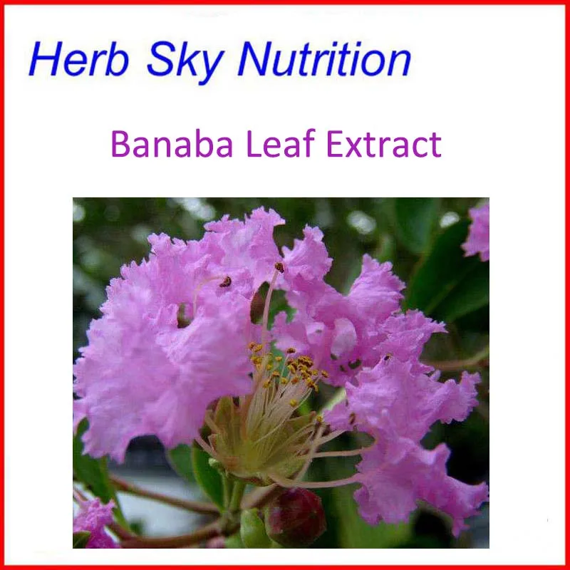 Banaba Leaf Extract