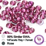 FRA33 Rose (1)