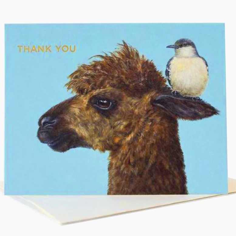 The Pencil Factory Vicki Sawyer Thank You Boxed Greeting & Note Cards Set of 6 (2)