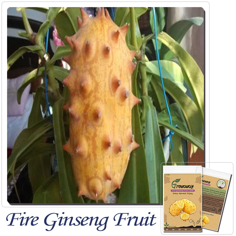 pitaya frutta dimagrante