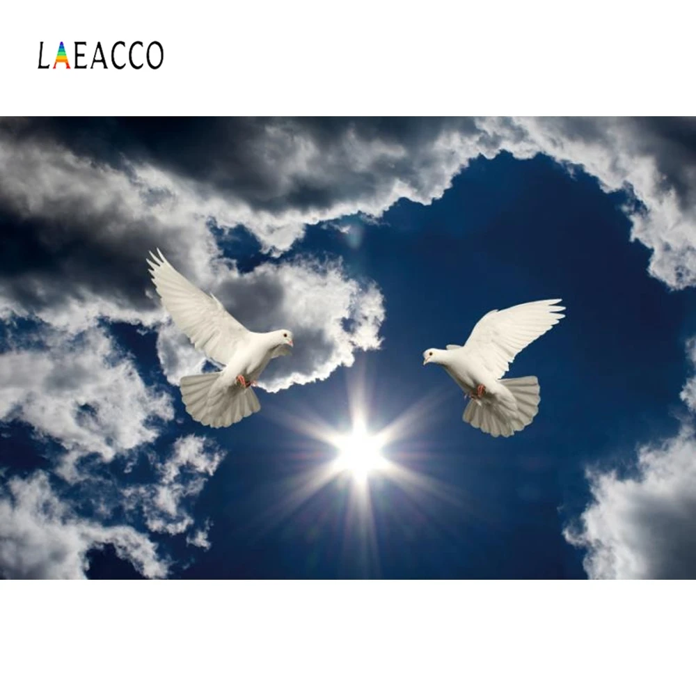 

Laeacco Blue Sky White Clouds Sunshine Dove Portrait Photography Backgrounds Photographic Customized Backdrops for Photo Studio