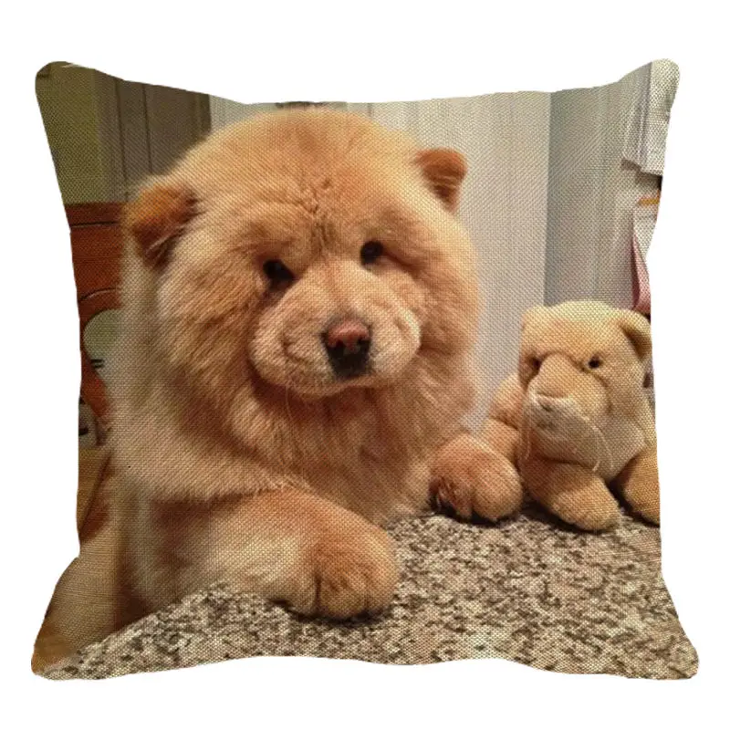 XUNYU Cute Pet Yellow Chow Chow Dog Cushion Cover Square Cushion Covers Home Decor Throw Pillowcases Linen Pillowcase B0053