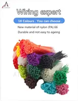 100pcsd самоблокирующиеся Нейлоновые кабельные стяжки 18 цветов пластиковые стяжки на молнии, проволочные стяжки 3*100 - изображение