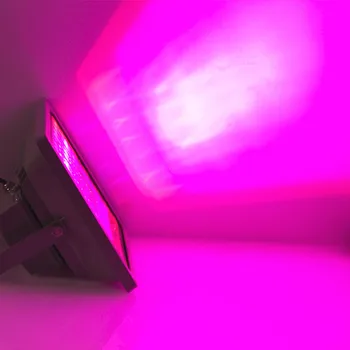 

High Power 40W 60W 100W LED Grow Light Blue 460nm Red 660nm Hydroponics Plant Flood LED Grow Lights Water Proof In Stock