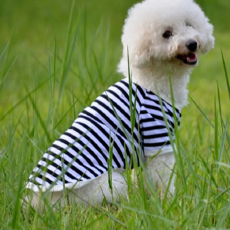 

Striped vest Pet Clothes for Dog Clothes for Small Dogs Vest Pet Dog Costume Chihuahua Summer Dog Clothing Clothes Puppy Outfit